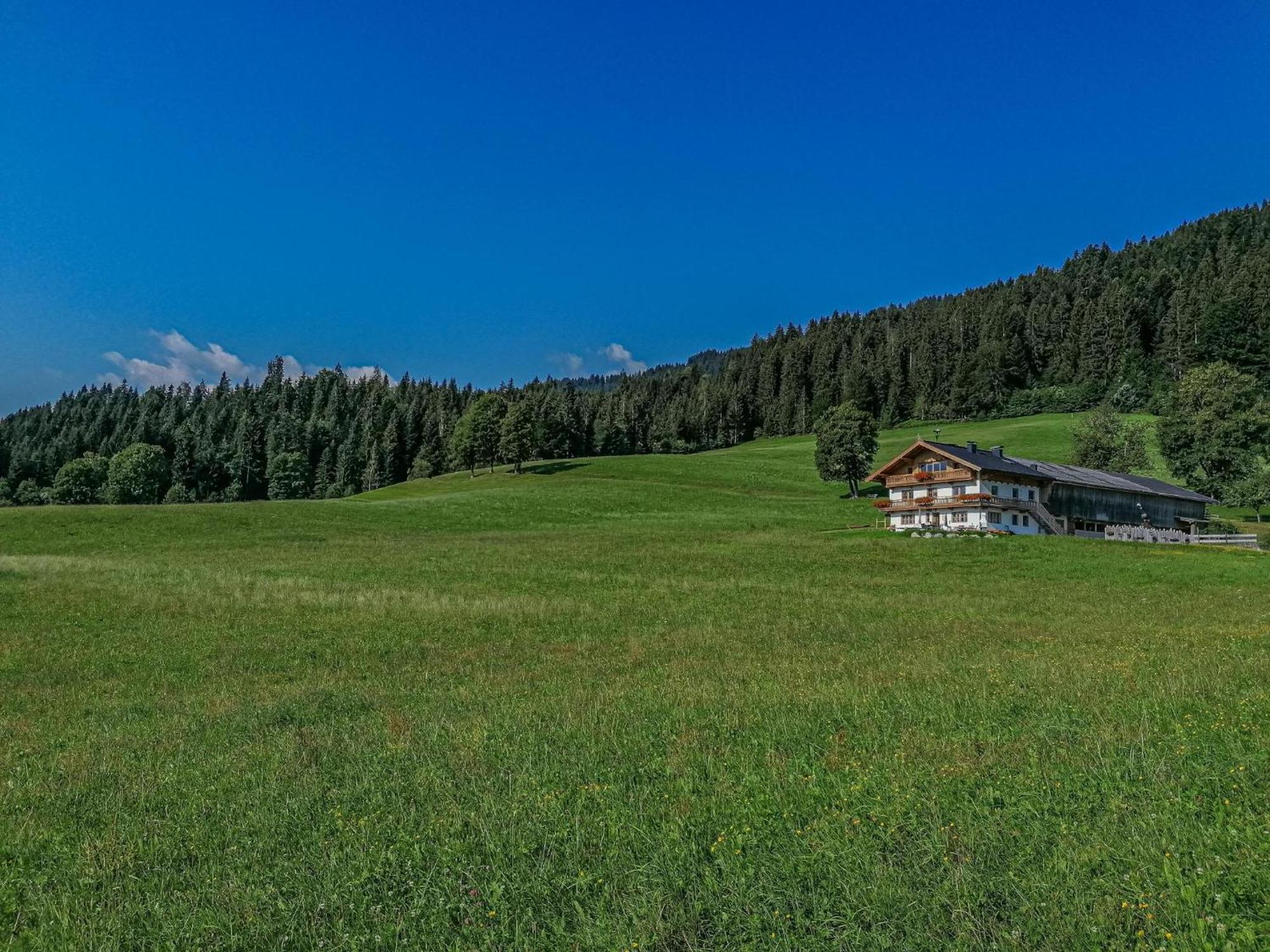 Flicklhof Xl Leilighet Hopfgarten im Brixental Eksteriør bilde