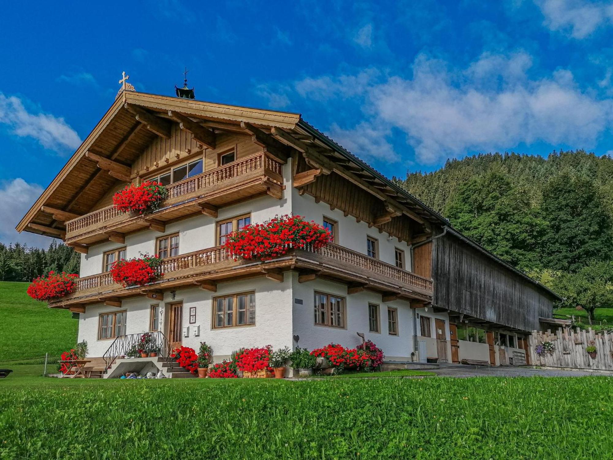 Flicklhof Xl Leilighet Hopfgarten im Brixental Eksteriør bilde